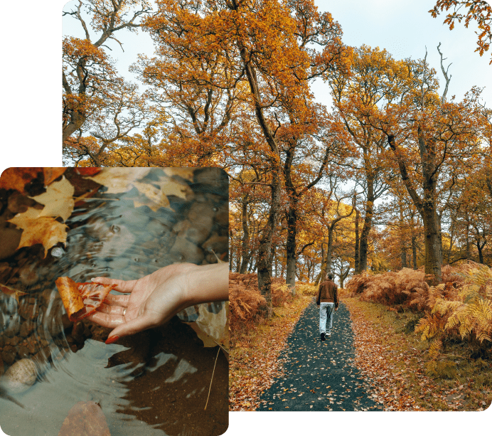 Contact Us to Get the Help That You Need