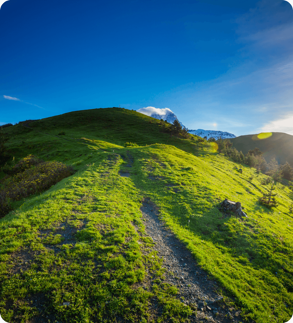 Daily Structure and Schedule for PHP Treatment